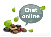 Atendimento online